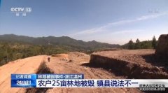 沐鸣注册链接农户25亩林地被夷为平地，当地官员：真的假的我怎么知道嘛