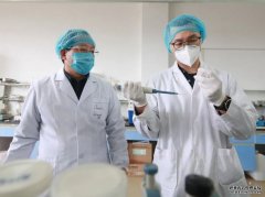 沐鸣总代理10分钟出结果 广西大学研製出新冠病毒测试纸
