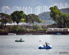 沐鸣招商主管冷锋南移 有骤雨晚间转凉