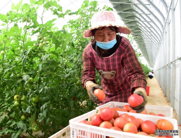 沐鸣直属总代李克强：确保实现脱贫攻坚目标 促进农业丰收农民增收