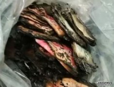 江苏男用藏钱纸盒垫蚊香沐鸣招商主管 15万烧剩不足2万