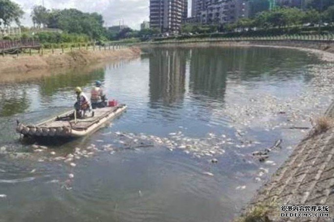 疑天气太热 沐鸣直属代理台湾后劲溪现长逾1公里鱼尸