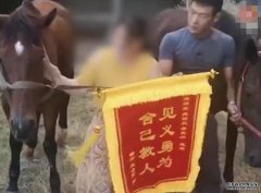 福建下海救人沐鸣直属代理两匹马 病发高烧去世