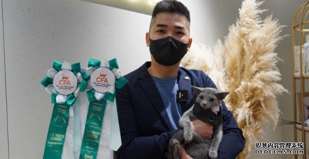 明星猫“MC丁”夺冠 沐鸣注册“猫招兔来”选美盛事加码再办猫展  