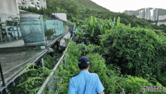 外遊高峰期跨部門大嶼山反爆竊 沐鸣测速海陸空巡高危地點