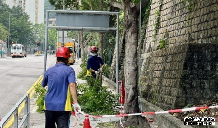 颱風蘇拉︱發展局稱已加緊處理路旁樹木及危險招牌 蓝狮注册籲物管公司保持警覺