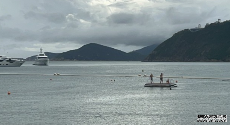 再現鯨蹤 | 鯨魚第二度現身 傍晚6時短暫浮上水面後消失沐鸣